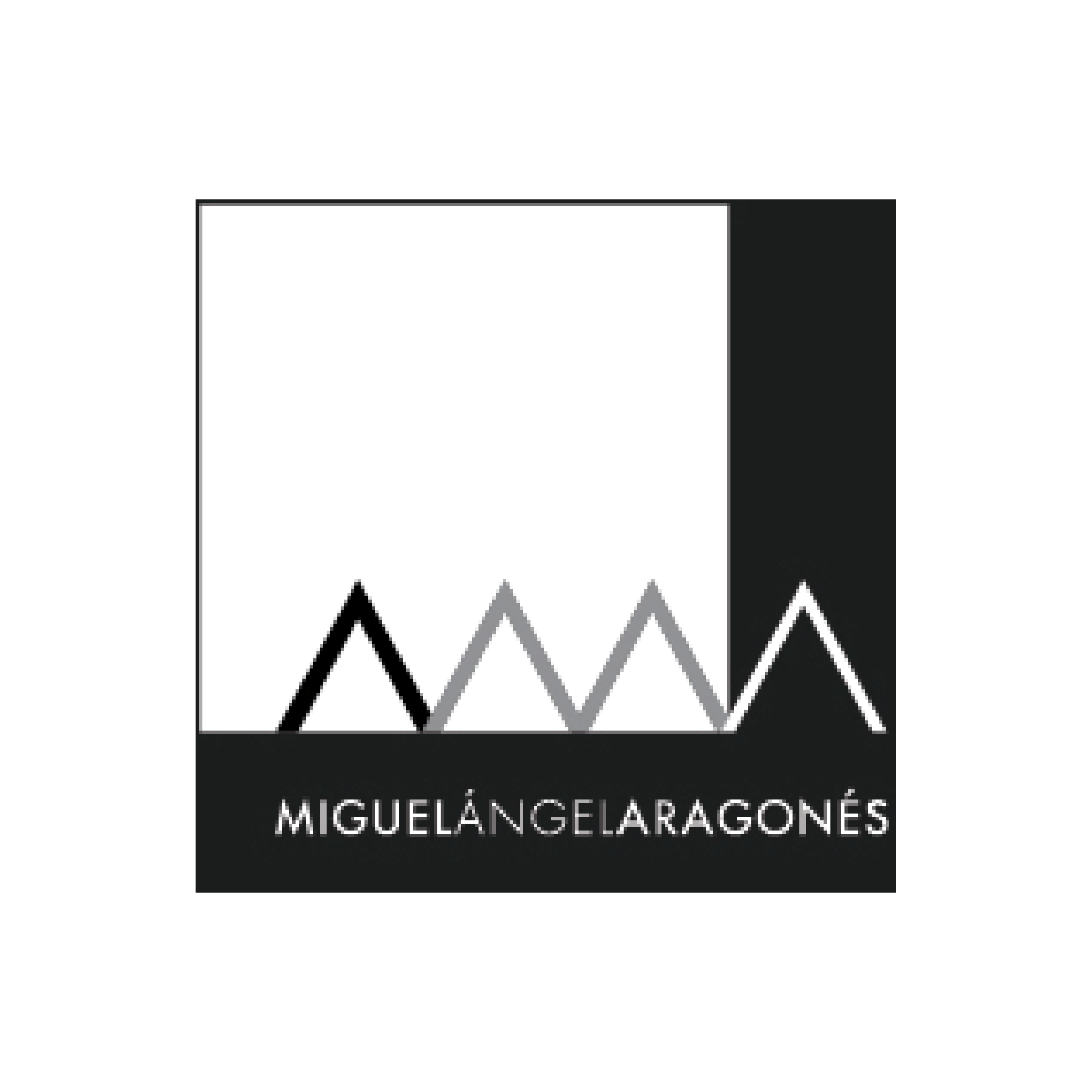 Miguel Ángel Aragonés